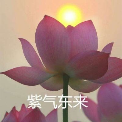 九游摩登三国2客户端下载